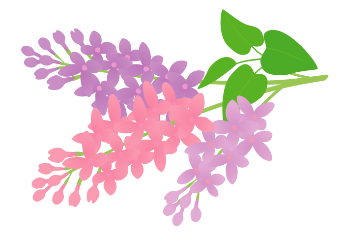 Lilac-8.png